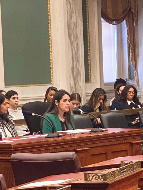 Dr. Diana Montoya-Williams sharing testimony with the Philadelphia City Council's Committee on Public Health and Human Services